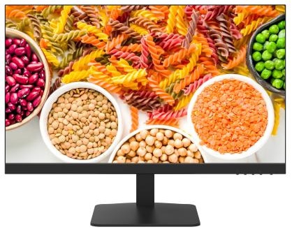 DS-D5024F2-1V2S - 23,8 " FHD Monitor